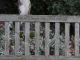 image of grave number 848142